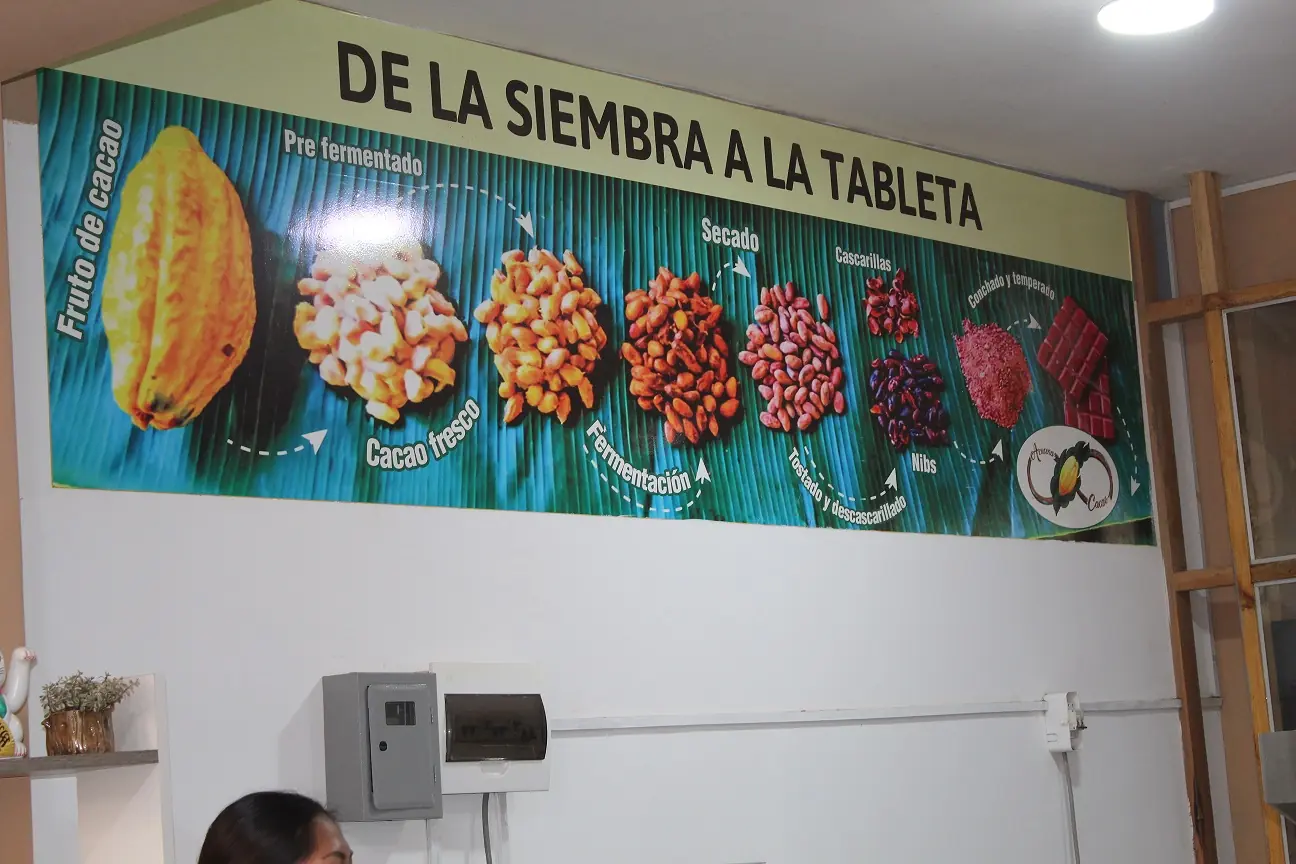 Chocolatería artesanal, Villa Rica